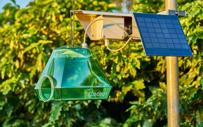 BASF und Pessl kooperieren beim Schädlingsmanagement