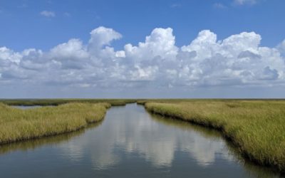 Erste Weltkarte zeigt Einfluss der Gezeiten auf Küstenflüsse