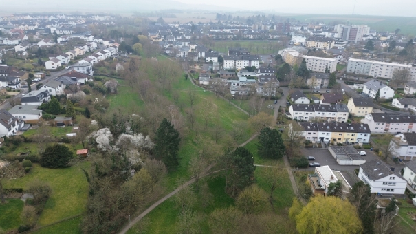 Limburgs grünes Rückgrat