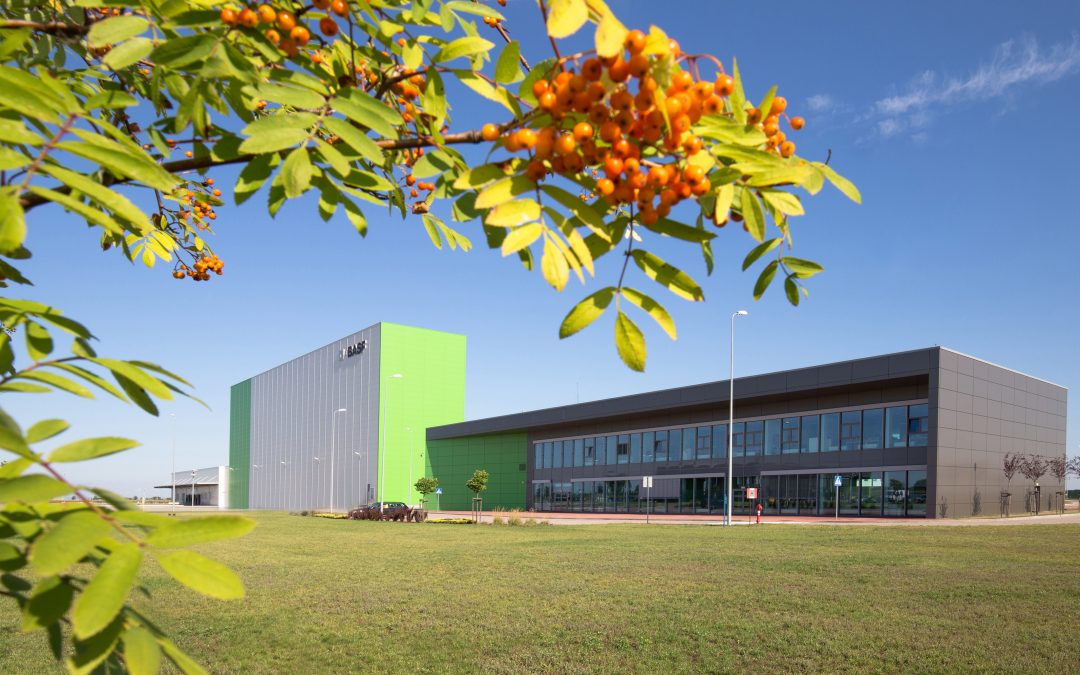 BASF betreibt Katalysatorenwerk in Polen mit erneuerbarer Energie