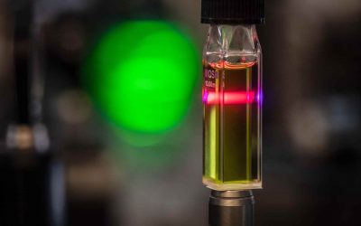 Quantenmechanik hilft bei der Photosynthese