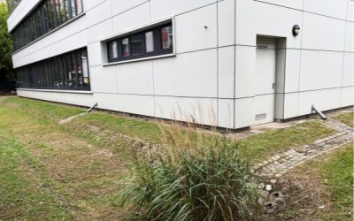 Regenwasser als Ressource