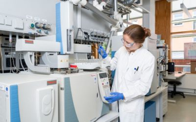 Wie aus Solarstrom Protein wird