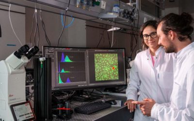 Nanoroboter verwandeln Stammzellen in Knochenzellen