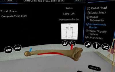 3D-Scans und Virtual Reality in der Anthropologie