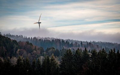 Erneuerbare Energien ohne Subventionen profitabel